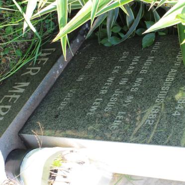 MERWE Willie, van der 1944-1982