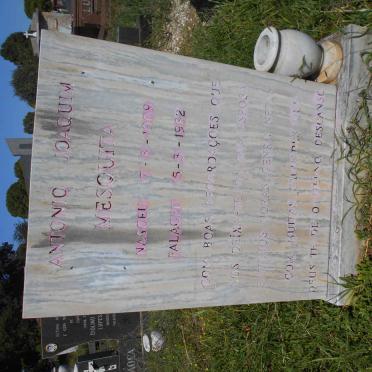 MESQUITA Antonio Joaquim 1919-1982