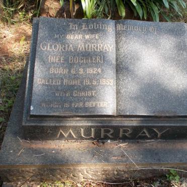 MURRAY Gloria nee BUCHLER 1924-1953