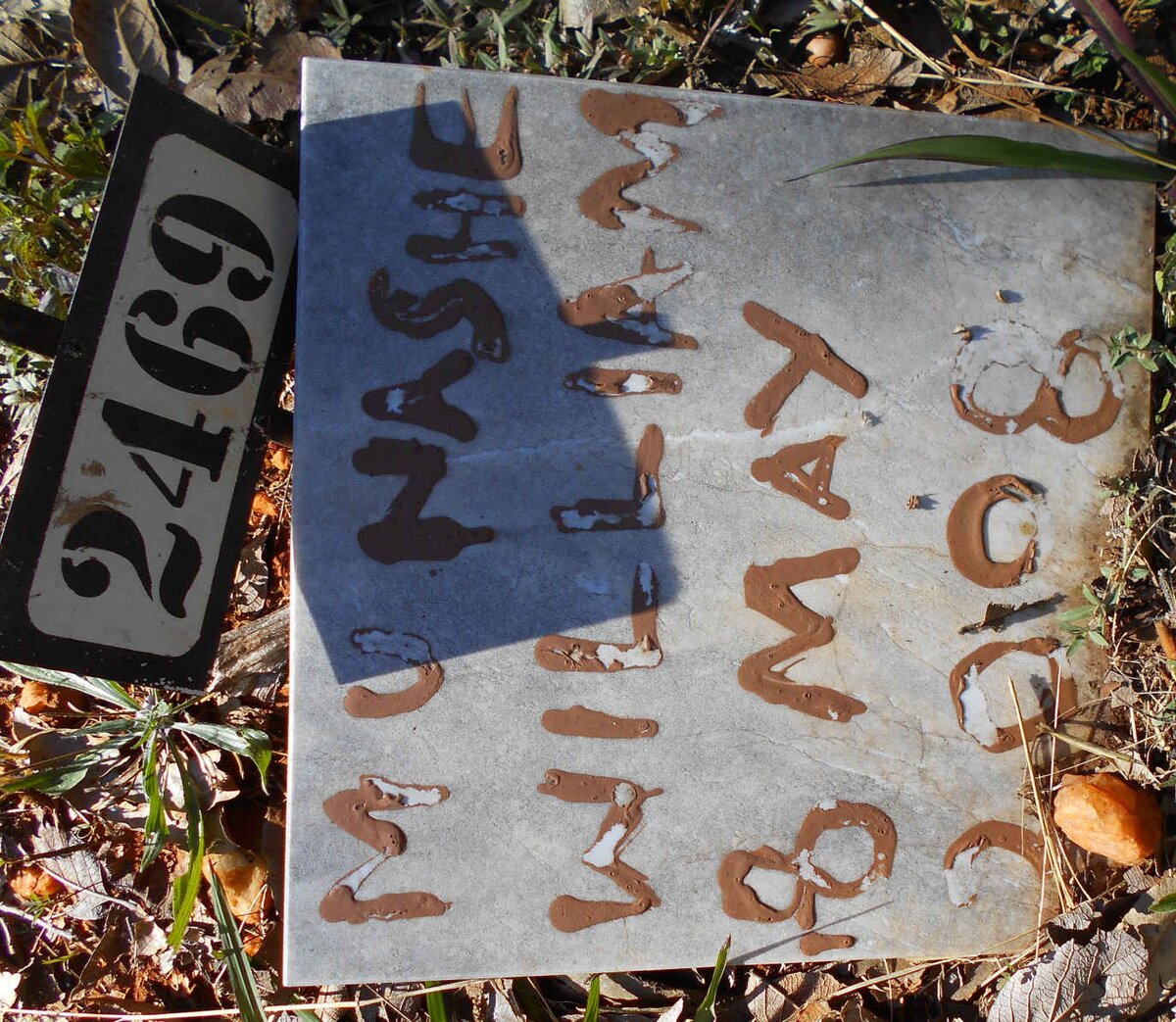 MUNASHE William -2008