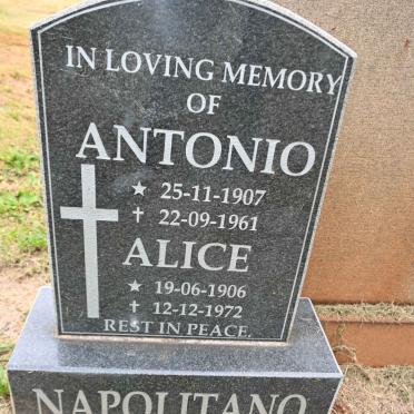 NAPOLITANO Antonio 1907-1961 &amp; Alice 1906-1972