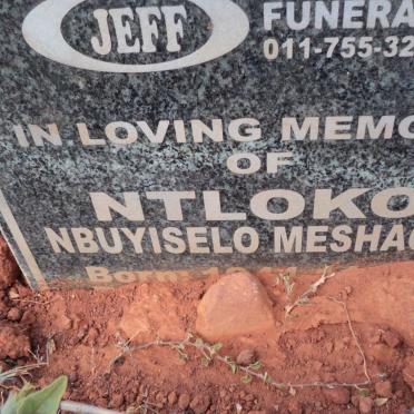 NTLOKO Nbuyiselo Meshack