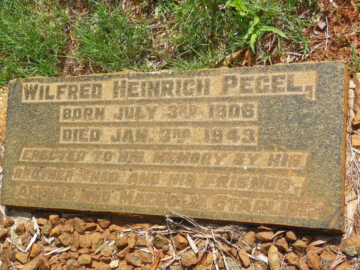 PEGEL Wilfred Heinrich 1906-1943