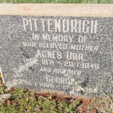 PITTENDRIGH Agnes Orr 1871-1949 :: PITTENDRIGH George 1899-1956