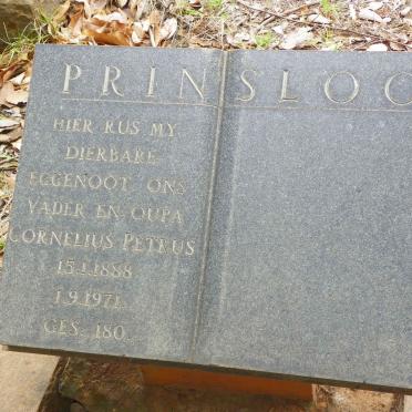 PRINSLOO Cornelius Petrus 1888-1971