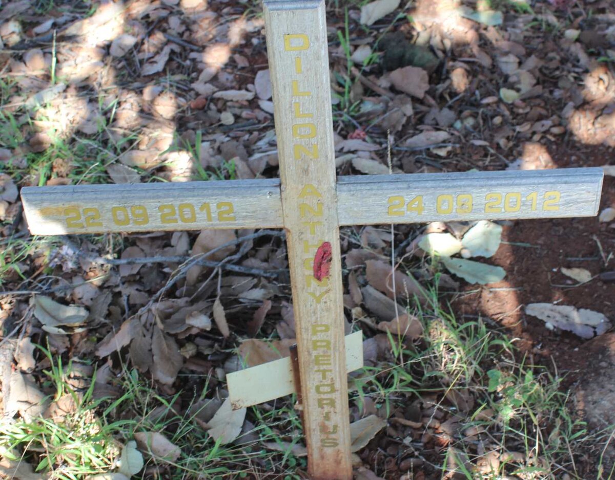 PRETORIUS Dillon Anthony 2012-2012