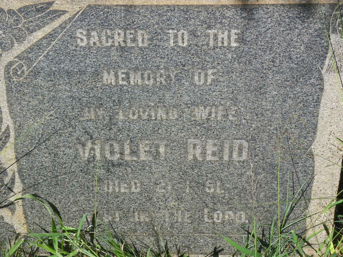 REID Violet -1951