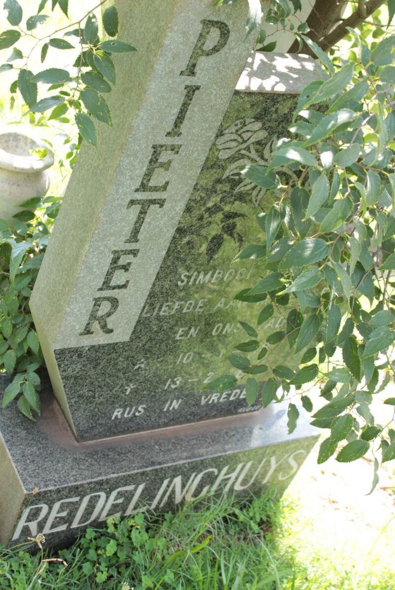 REDELINGHUYS Pieter 1949-1984