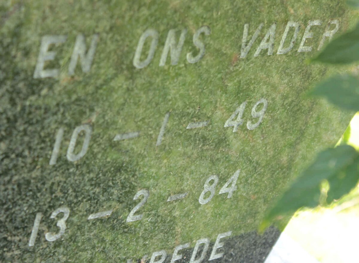 REDELINGHUYS Pieter 1949-1984