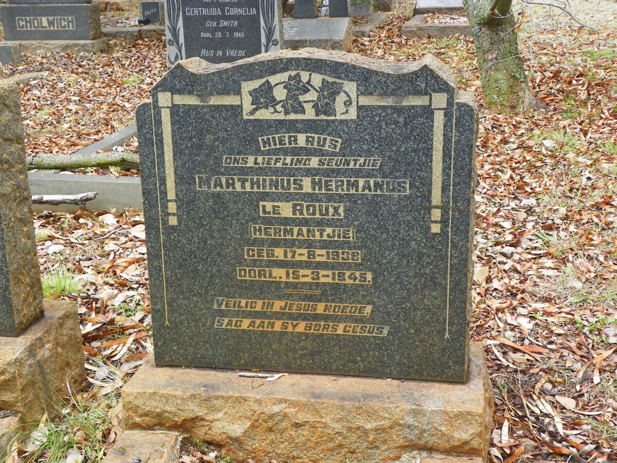 ROUX Marthinus Hermanus, le 1938-1945