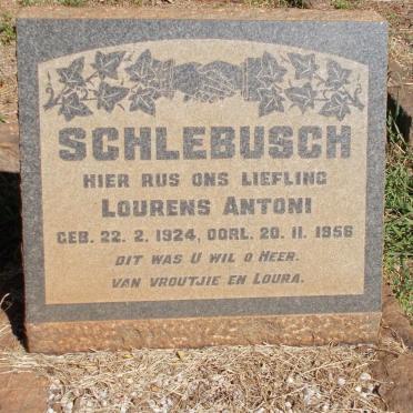 SCHLEBUSCH Lourens Antoni 1924-1956