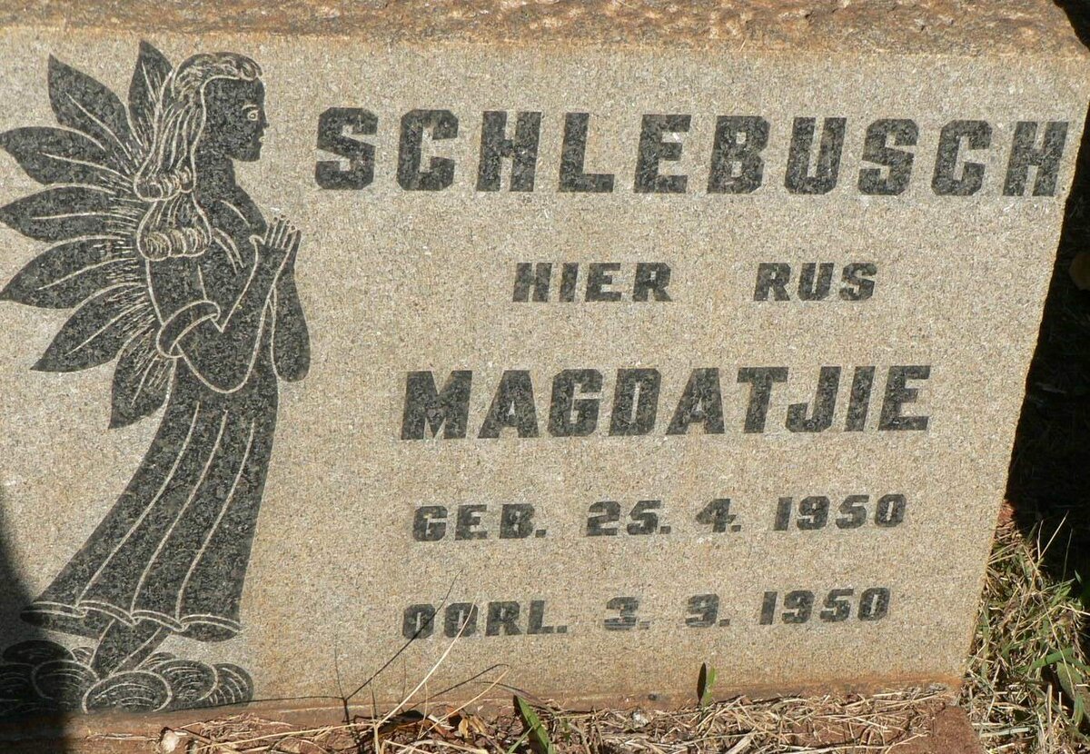 SCHLEBUSCH Magdatjie 1950-1950