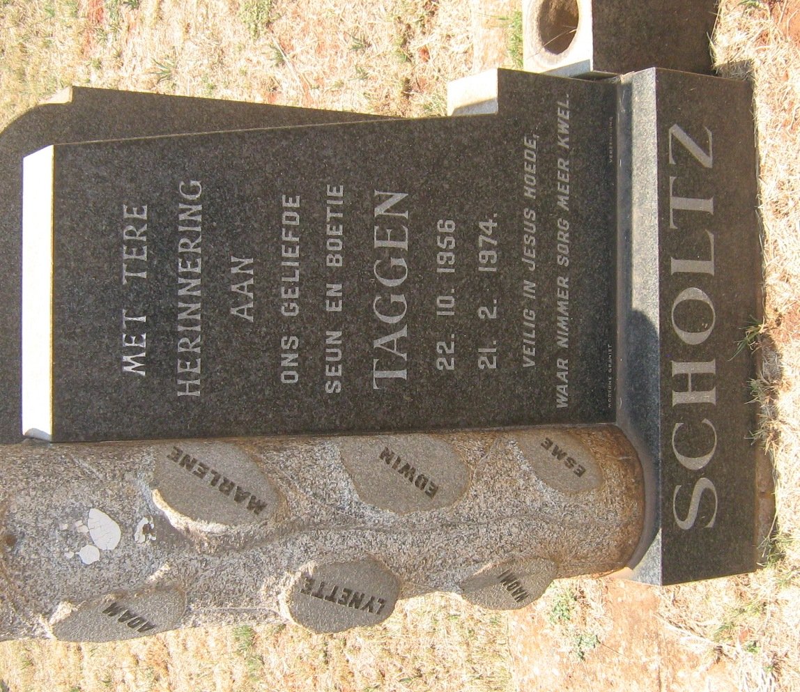 SCHOLTZ Taggen 1956-1974