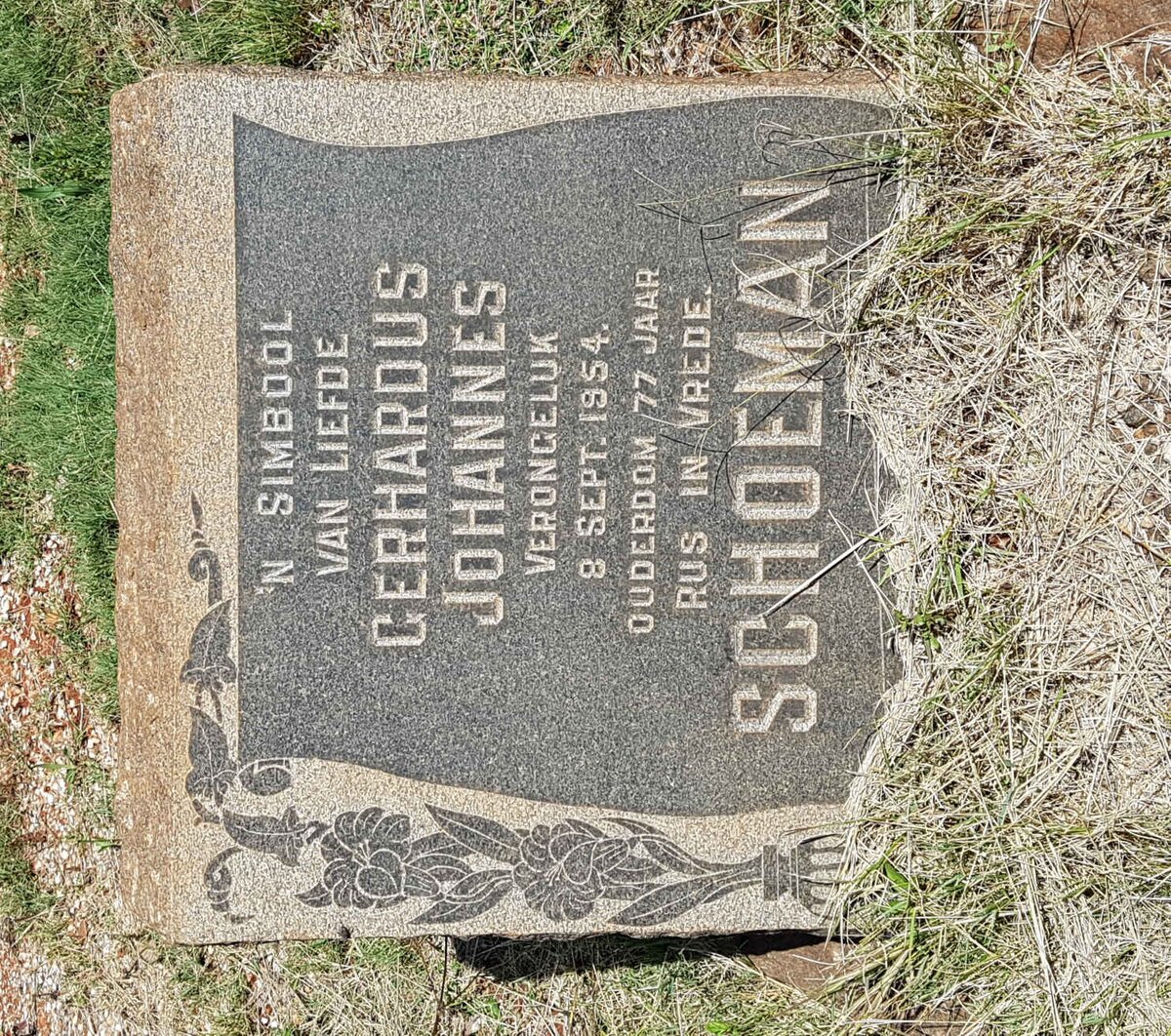 SCHOEMAN Gerhardus Johannes -1954