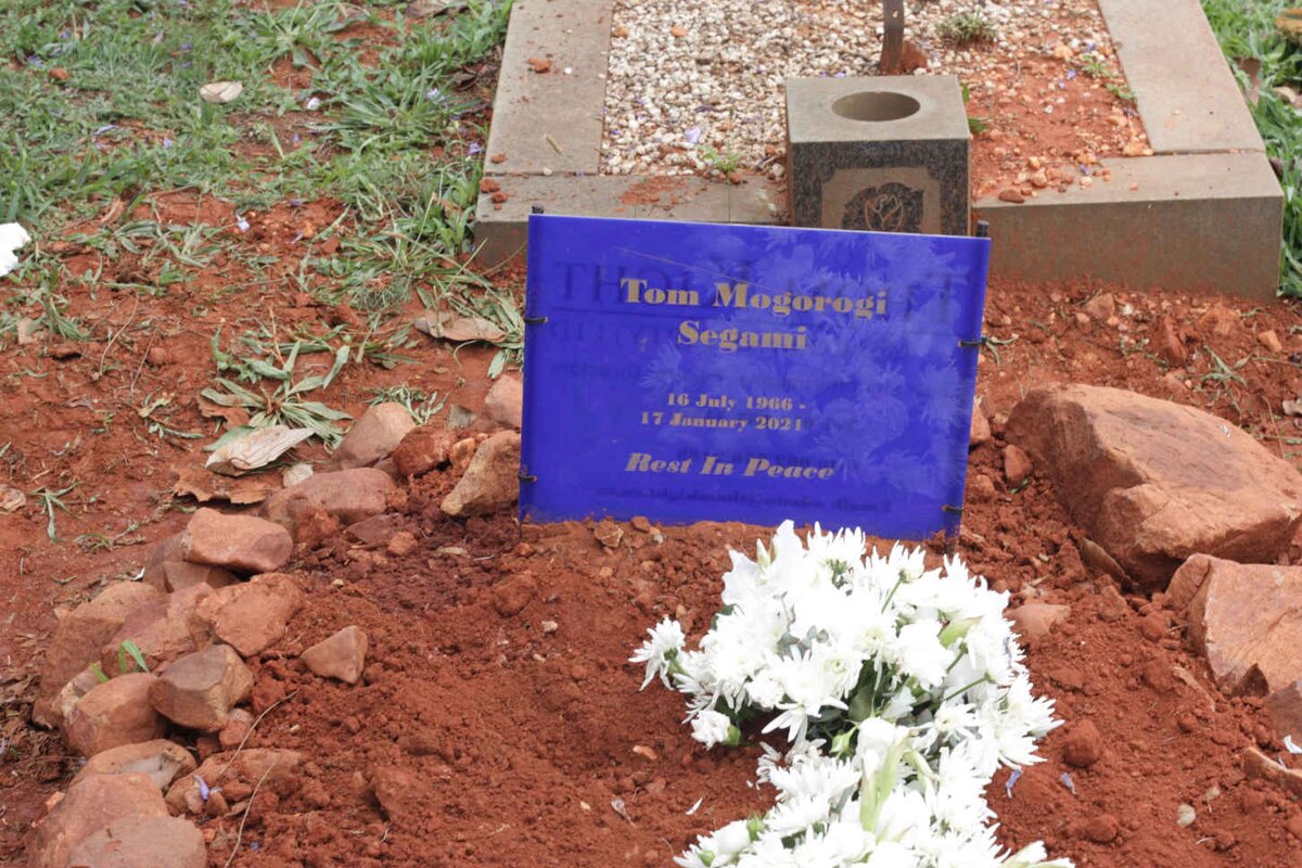 SEGAMI Tom Mogorogi 1966-2021