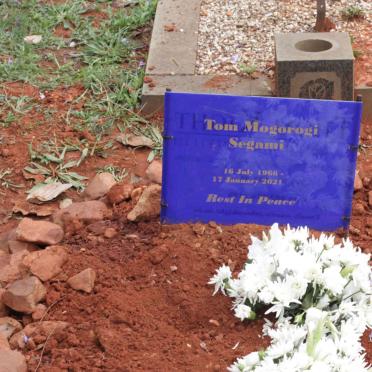 SEGAMI Tom Mogorogi 1966-2021