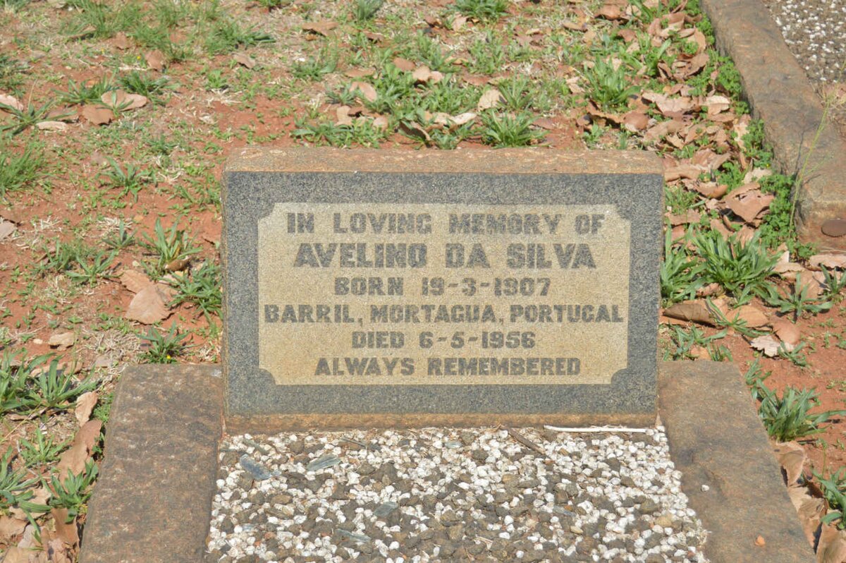 SILVA Avelino, da 1907-1956