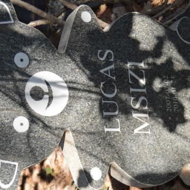 SIBANDA Lucas Msizi 2007-2010