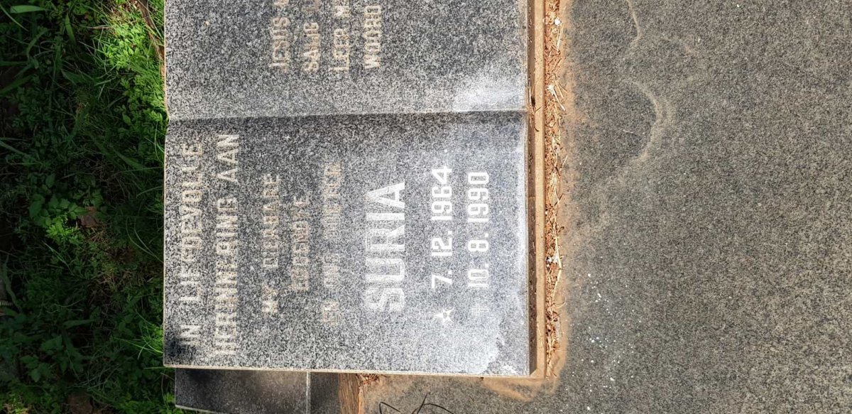 STANDER Suria 1964-1990