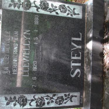 STEYL Llewellyn 1920-1980