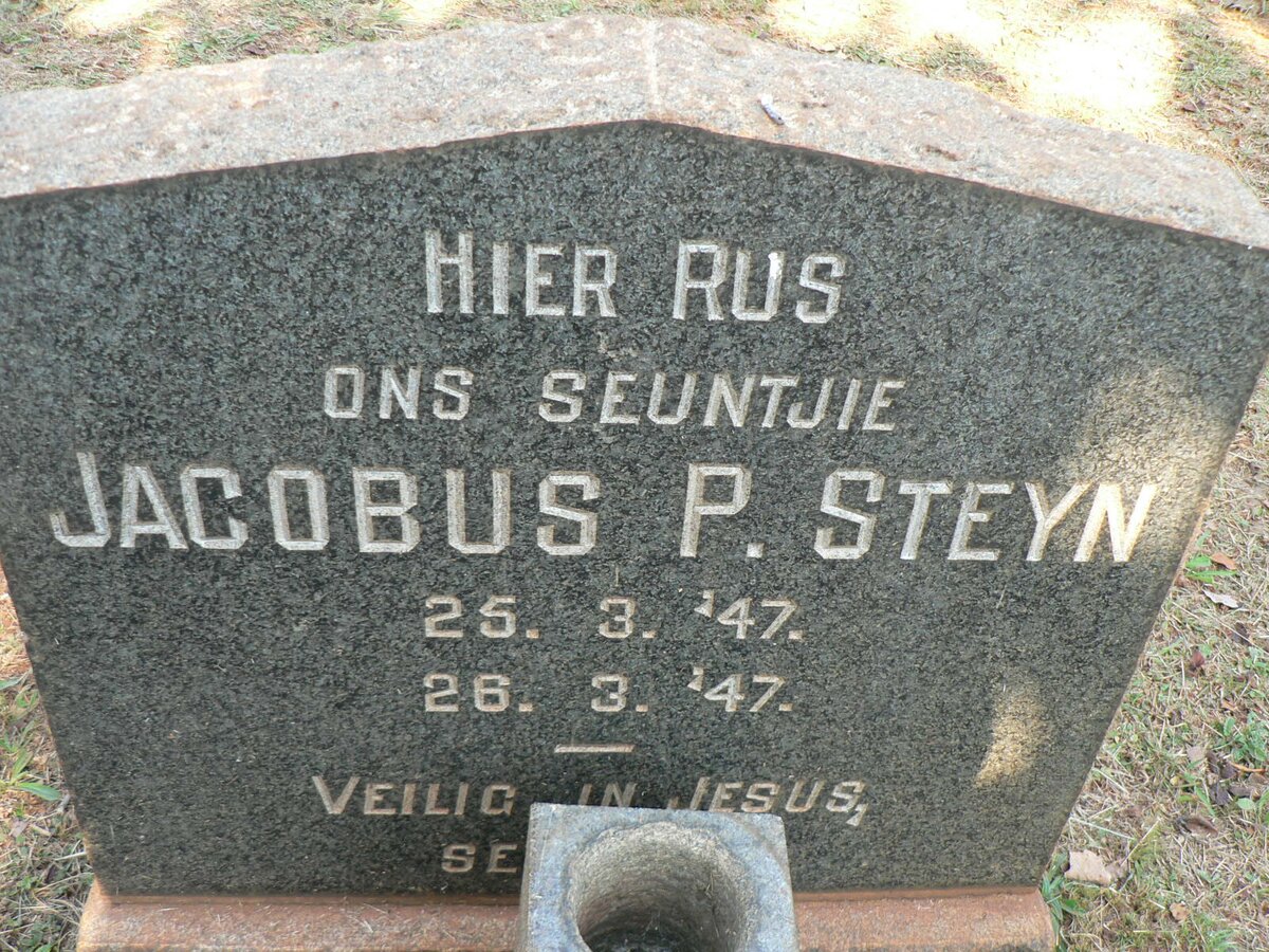 STEYN Jacobus P. 1947-1947
