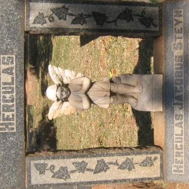 STEYN Herculas Jacobus 1948-1949