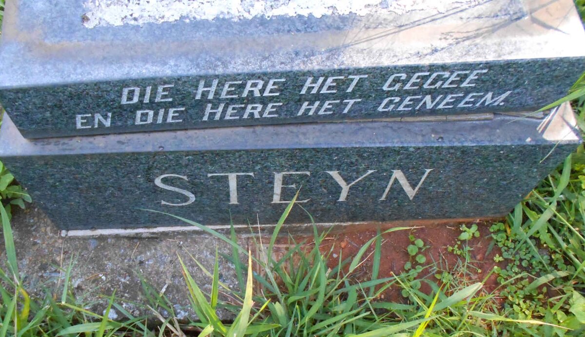 STEYN
