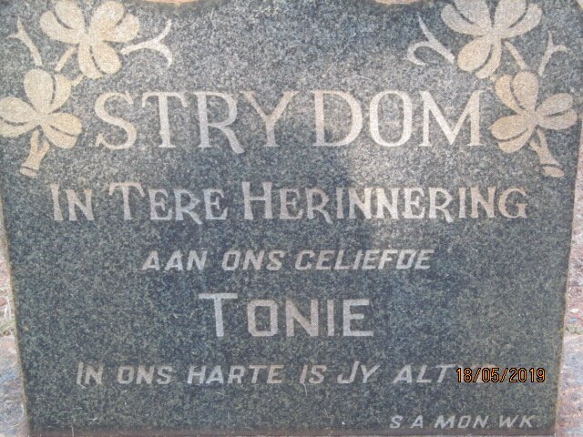 STRYDOM Tonie