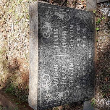 STRYDOM Adriaan Pieter 1927-1954 :: STRYDOM Hendrik Johannes 1941-1963