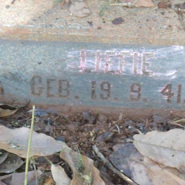 SWANEPOEL Liefie 1941-1954