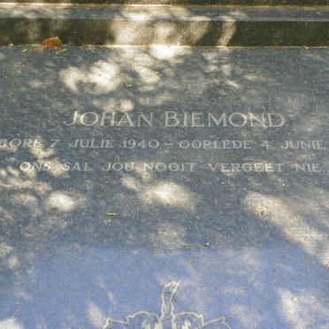 BIEMOND Johan 1940-1994