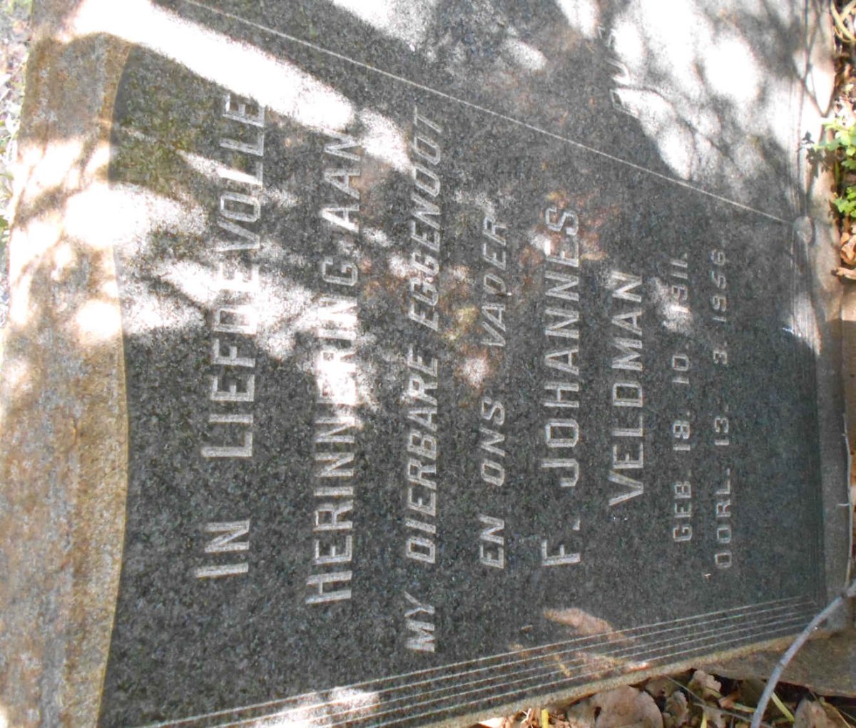 VELDMAN F. Johannes 1911-1956