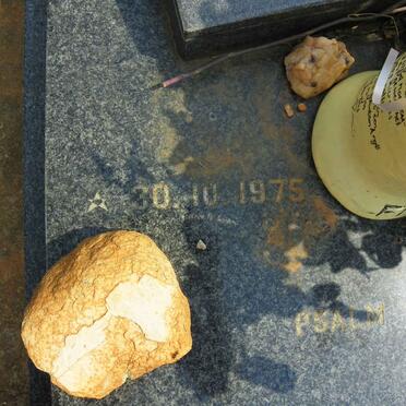 VELLOEN Francoius 1975-1997