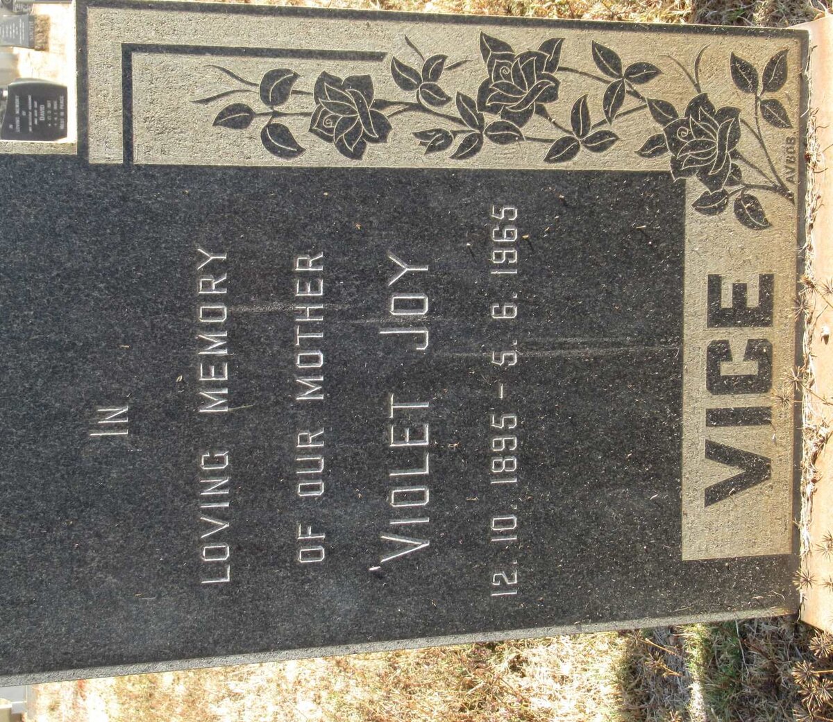 VICE Violet Joy 1895-1965