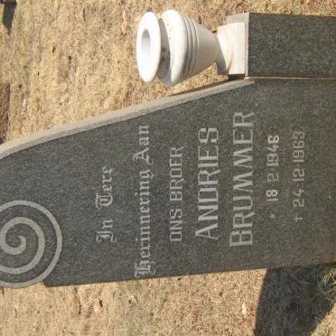 VILJOEN Andries Brummer 1946-1963