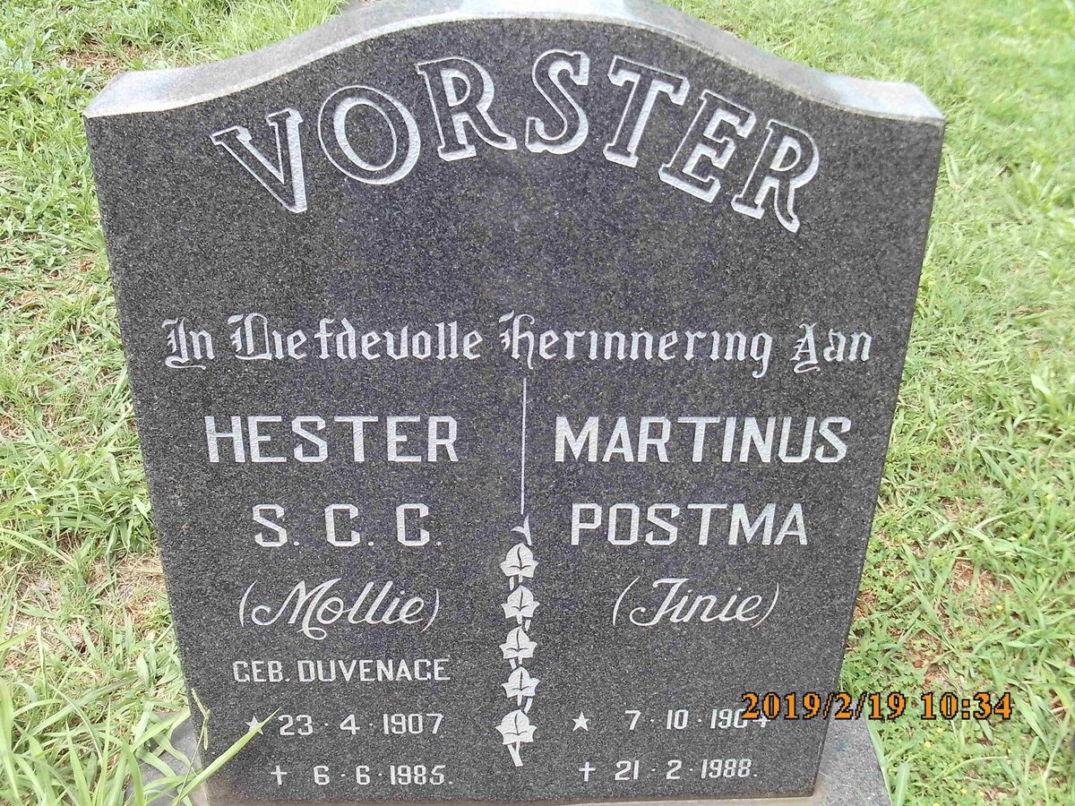 VORSTER Martinus Postma 1904-1988 &amp; Hester S.C.C. DUVENAGE 1907-1985