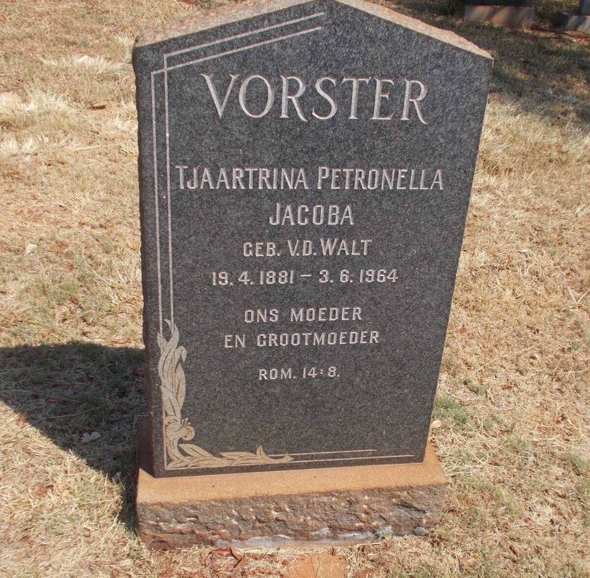 VORSTER Tjaartrina Petronella Jacoba nee V.D. WALT 1881-1964