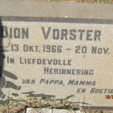 VORSTER Dion 1966-1966
