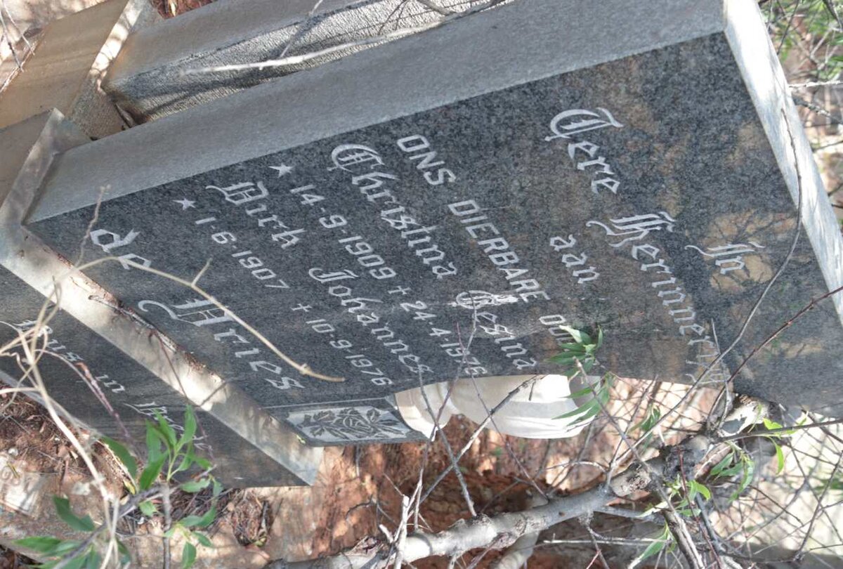 VRIES Dirk Johannes, de 1907-1976 &amp; Christina Gesina 1909-1976