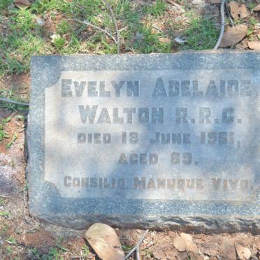 WALTON Evelyn Adelaide -1951