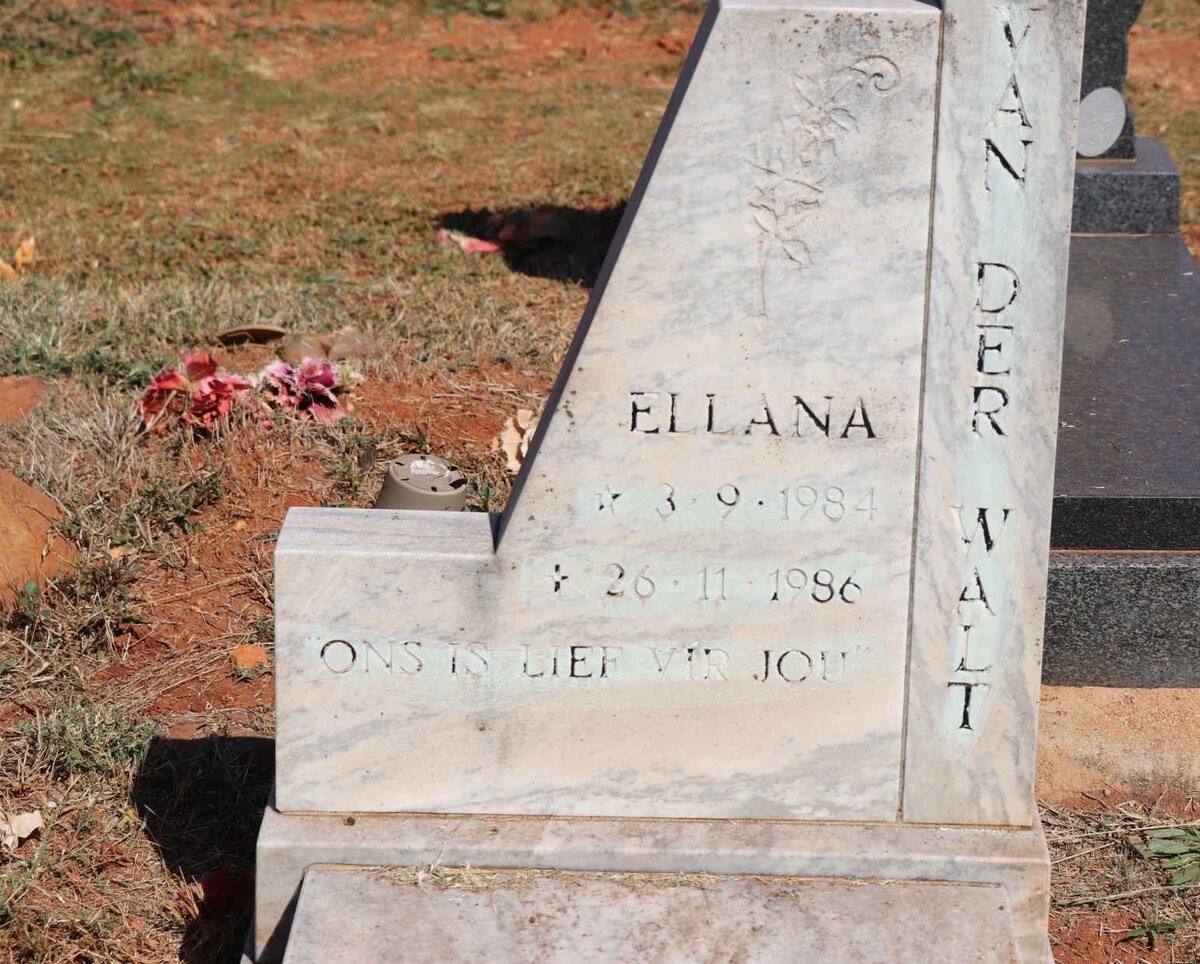 WALT Ellana, van der 1984-1986