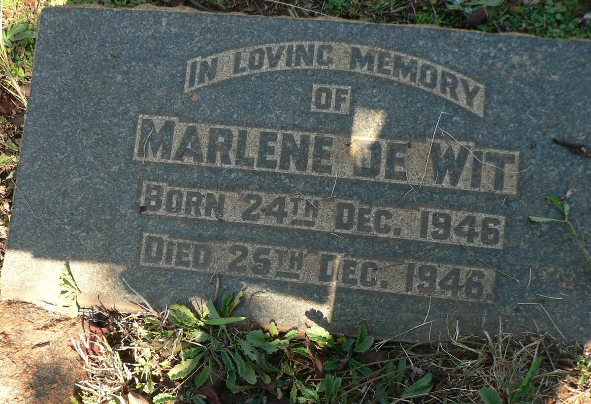 WIT Marlene, de 1946-1946