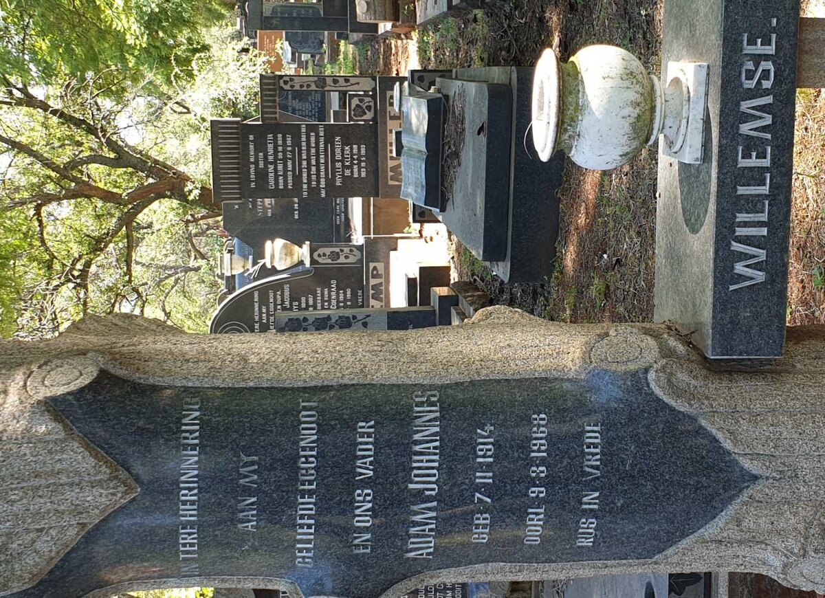 WILLEMSE Adam Johannes 1914-1968