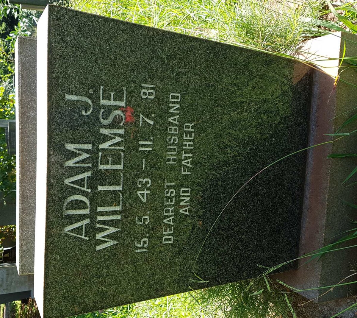 WILLEMSE Adam J. 1943-1981