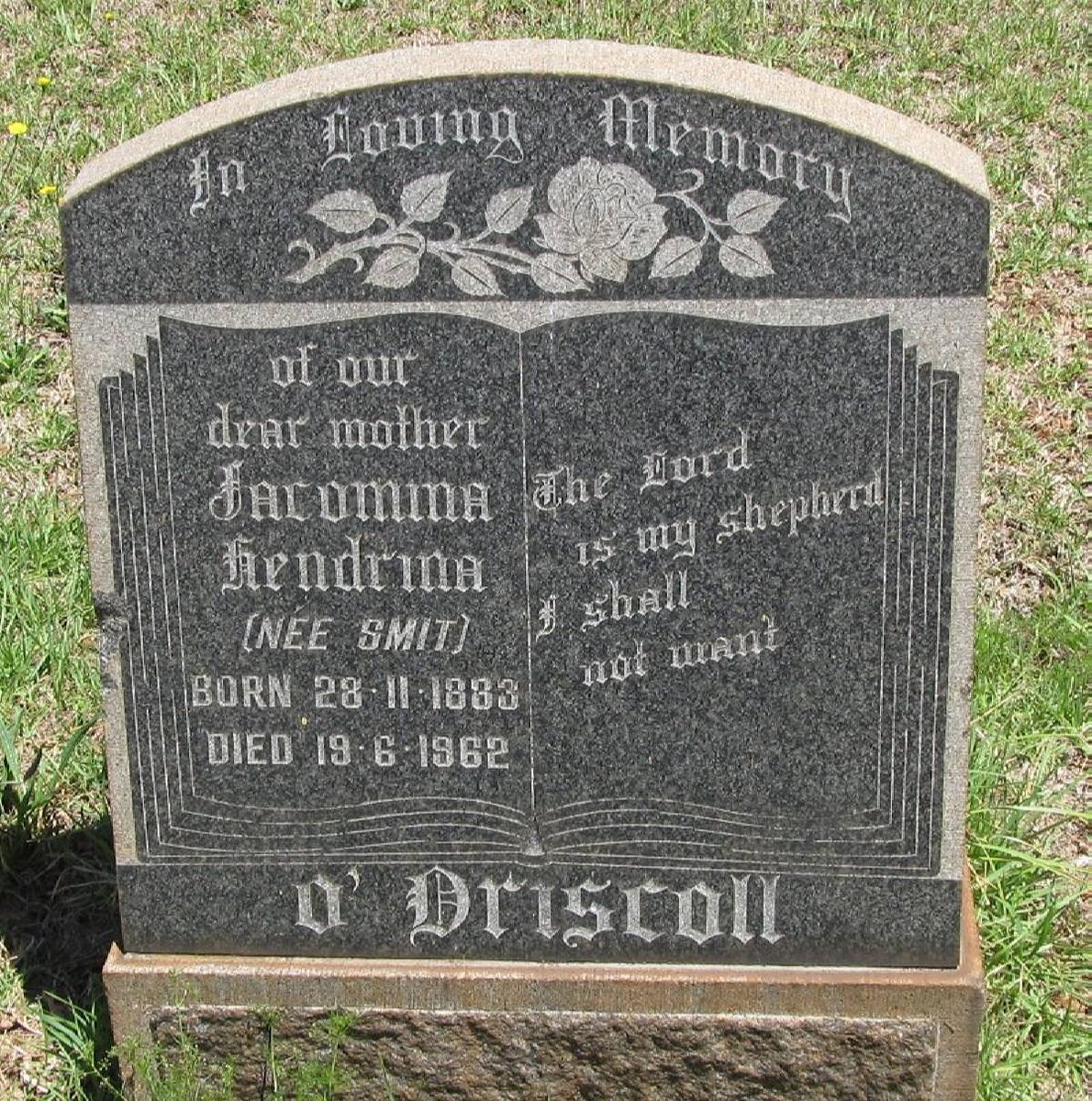 O'DRISCOLL Jacomina Hendrina nee SMIT 1883-1962