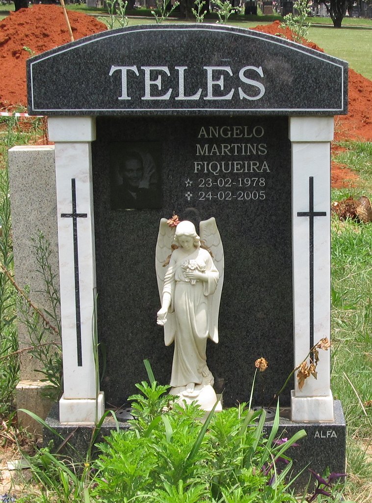 TELES Angelo Martins Fiqueira 1978-2005