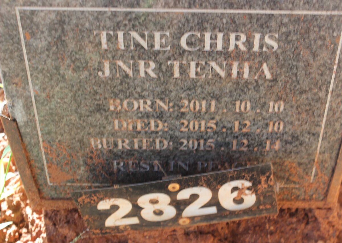 TENHA Tine Chris 2011-2015