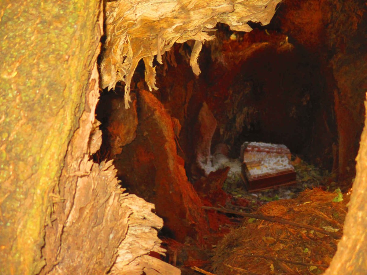 4. Overview / Oorsig