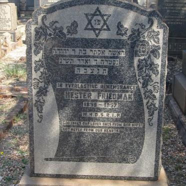 FRIEDMAN Hester 1859-1957