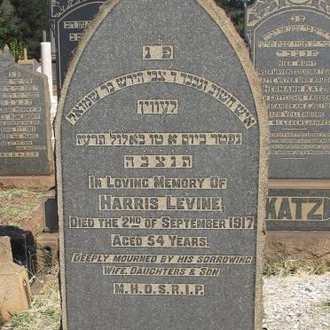 LEVINE Harris -1917